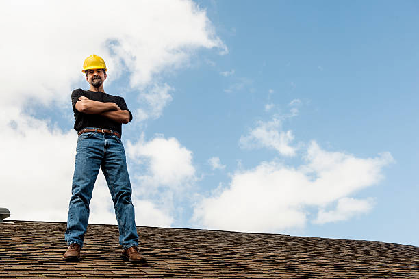 Best Roof Gutter Cleaning  in Markham, IL