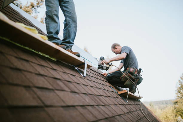 Quick and Trustworthy Emergency Roof Repair Services in Markham, IL